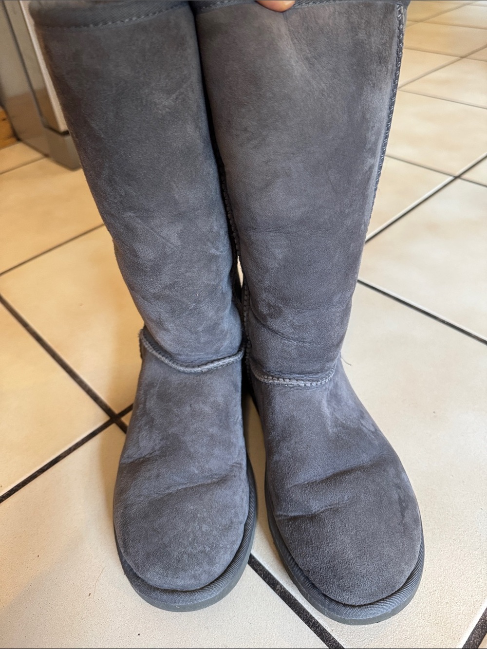 UGG Women's Tall Suede Winter Boots in Gray